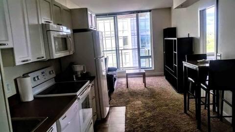 2BR Condo | C-Train + University furnished rental